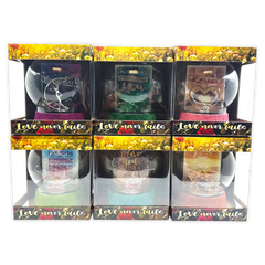 ITEM NUMBER 023741L GLASS GLOBE KEEPSAKE - STORE SURPLUS NO DISPLAY 6 PIECES PER PACK STORE SURPLUS