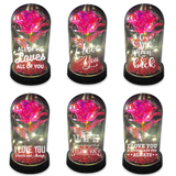 ITEM NUMBER 024544 GLASS DOME ROSE KEEPSAKE 6 PIECES PER DISPLAY