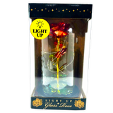 ITEM NUMBER 024546 JUMBO GLASS KEEPSAKE 2 PIECES PER DISPLAY