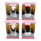 WHOLESALE REAL PRESERVED JUMBO ROSE KEEPSAKE 4 PIECES PER DISPLAY 25008