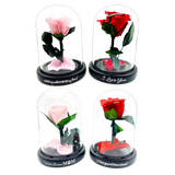 REAL PRESERVED JUMBO ROSE KEEPSAKE - STORE SURPLUS NO DISPLAY - 4 PIECES PER PACK 25008L