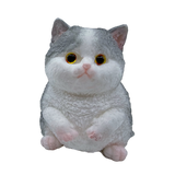 Squishy Pets Keepsake - Store Surplus No Display - 12 Pieces Per Pack 25820L