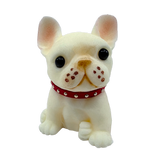 Squishy Pets Keepsake - Store Surplus No Display - 12 Pieces Per Pack 25820L