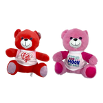 Valetine's Day Bear - Store Surplus No Display - 2 Pieces Per Pack 26215L STORE SURPLUS