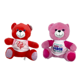 Valetine's Day Bear - Store Surplus No Display - 2 Pieces Per Pack 26215L STORE SURPLUS
