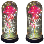 ITEM NUMBER 023338L JUMBO GLASS KEEPSAKE - STORE SURPLUS NO DISPLAY 2 PIECES PER PACK STORE SURPLUS