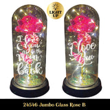 ITEM NUMBER 024546 JUMBO GLASS KEEPSAKE 2 PIECES PER DISPLAY