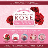 WHOLESALE REAL PRESERVED ROSE KEEPSAKE - STORE SURPLUS NO DISPLAY - 12 PIECES PER PACK 24888L