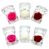 WHOLESALE REAL PRESERVED ROSE KEEPSAKE - STORE SURPLUS NO DISPLAY - 12 PIECES PER PACK 24888L