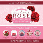 REAL PRESERVED ROSE KEEPSAKE - STORE SURPLUS NO DISPLAY - 12 PIECES PER PACK 25074L STORE SURPLUS