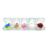 REAL PRESERVED ROSE KEEPSAKE - STORE SURPLUS NO DISPLAY - 12 PIECES PER PACK 25074L STORE SURPLUS