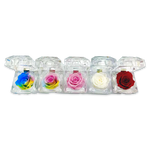 REAL PRESERVED ROSE KEEPSAKE - STORE SURPLUS NO DISPLAY - 12 PIECES PER PACK 25074L STORE SURPLUS