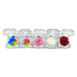 REAL PRESERVED ROSE KEEPSAKE - STORE SURPLUS NO DISPLAY - 12 PIECES PER PACK 25074L STORE SURPLUS