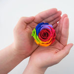 WHOLESALE REAL PRESERVED ROSE KEEPSAKE 12 PIECES PER DISPLAY 24888 WHOLESALE