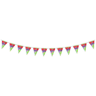 ITEM NUMBER 029311 Birthday Party Pennants EA = 1 PC